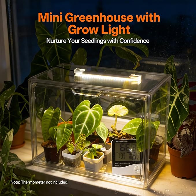 Bstrip Tabletop Greenhouse, GM4 Small Greenhouse - Image 2