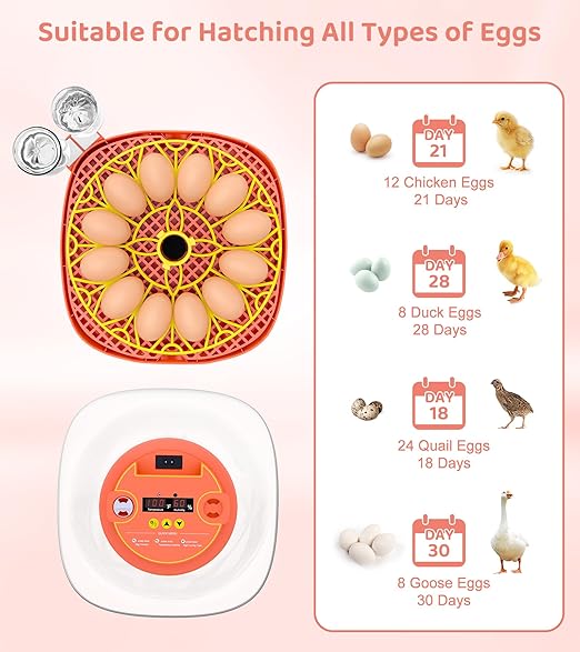 12 Egg Incubator for Hatching Eggs, Smart Temperature and Humidity Control - Image 6