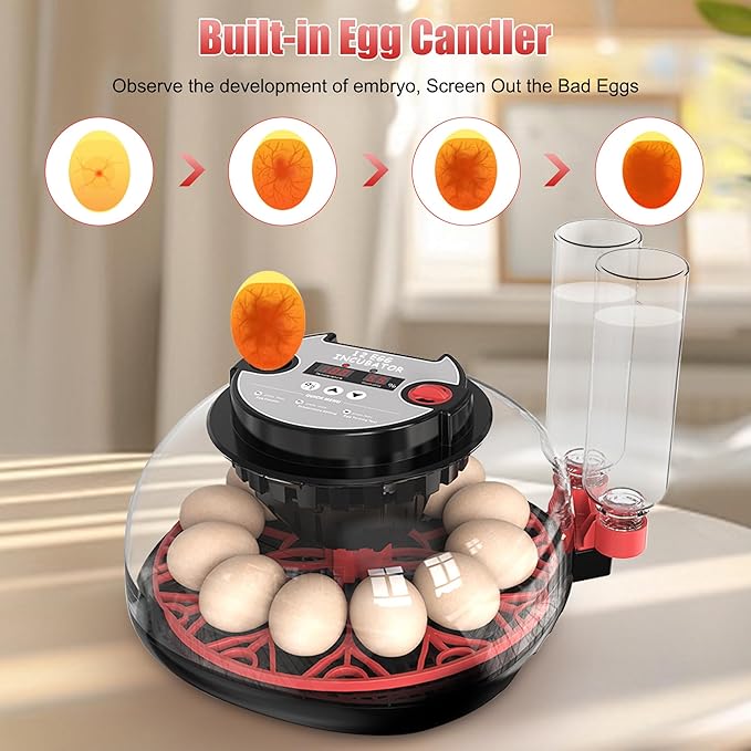 12 Egg Incubator with Temperature Control, Humidity Display, Automatic Egg - Image 5