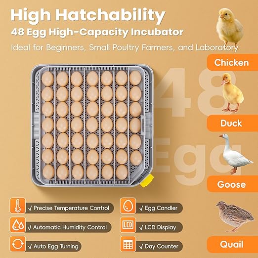 48 Incubators for Hatching Eggs, Egg Incubator - Image 2