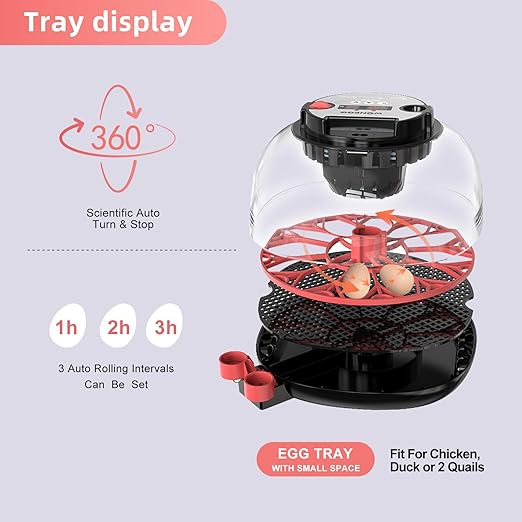 12 Egg Incubator for Hatching Chicken, Quail Eggs – 360° Visible Lid, Automatic - Image 4