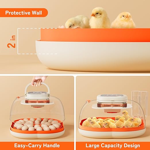 25 Egg Incubator, Extra-Large Interior - Image 2