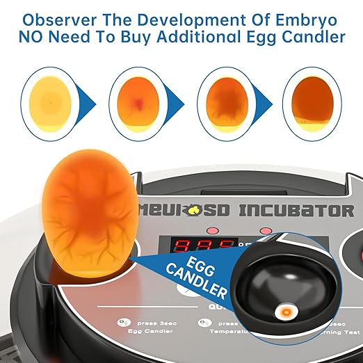 12-24 Egg Incubator with Humidity Display, Egg Candler, Automatic Egg Turner - Image 3