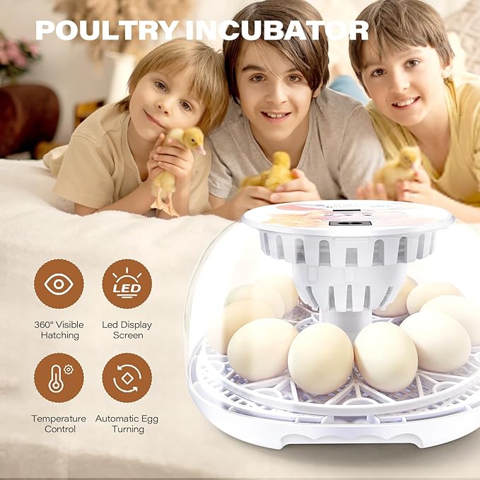 12 Egg Incubators for Hatching Eggs | - Image 4