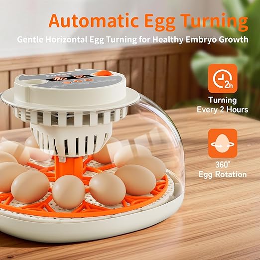 Egg Incubator with Temperature and Humidity Control, Automatic Egg Turning - Image 3