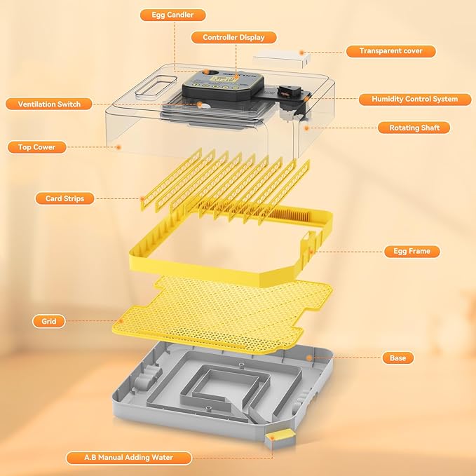 Incubator for Hatching Eggs-48 Egg Capacity, 2026 Newly Upraded Auto Egg Turner - Image 5