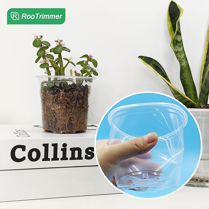 Transparent Nursery Pots 3.5Inch - Image 5