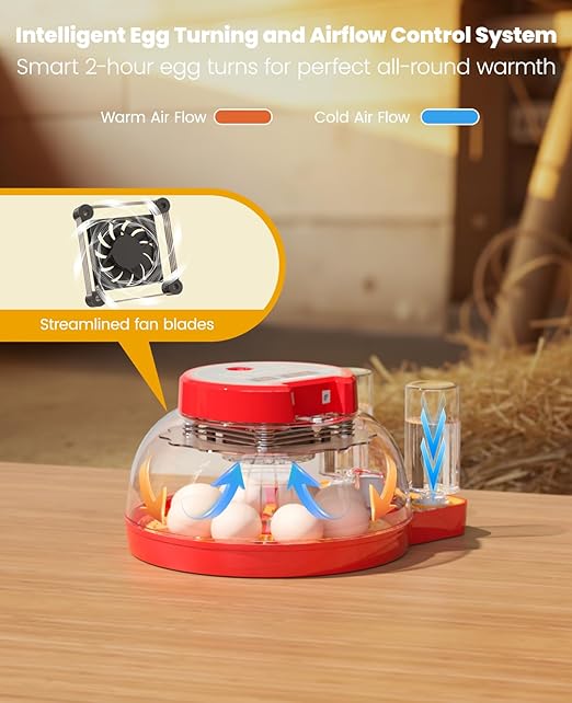 8 Chinken Incubators for Hatching Eggs - Image 6