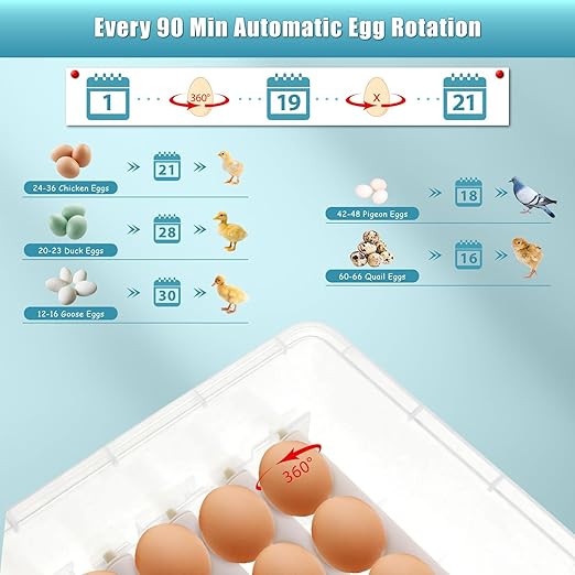 Incubators for Hatching Eggs, 36 Egg Incubator, Automatic Egg Turning, - Image 8