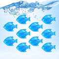 Humidifier Tank Cleaner, Warm&Cool Mist Humidifiers, Fish Tank, Keep The Water by Raipoment
