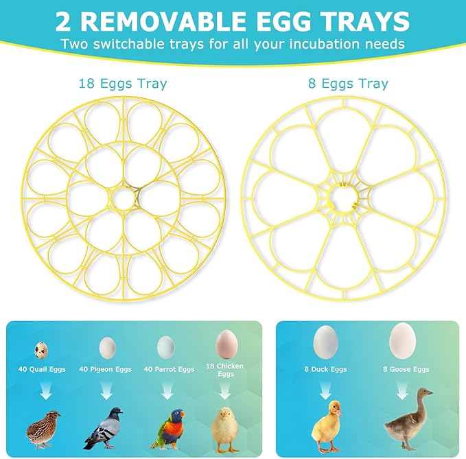 Incubators for Hatching Eggs, 18 Eggs Incubator - Image 5