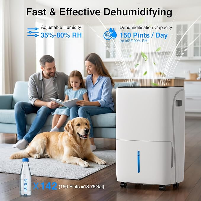 ZAFRO Dehumidifiers for Home and Basement - Image 2