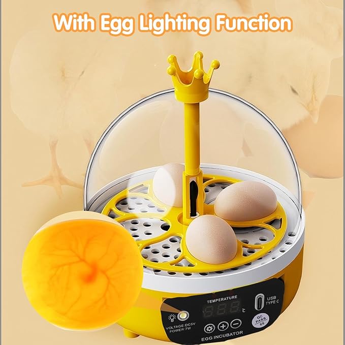 Tissting 4 Eggs Mini Incubator - Image 8