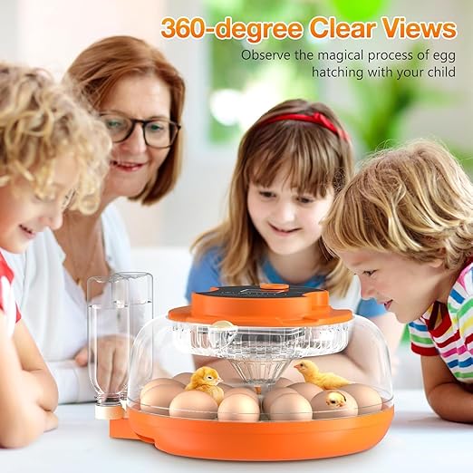 18 Egg Incubator with Automatic Egg Turning and Humidity Control, Eggs - Image 2