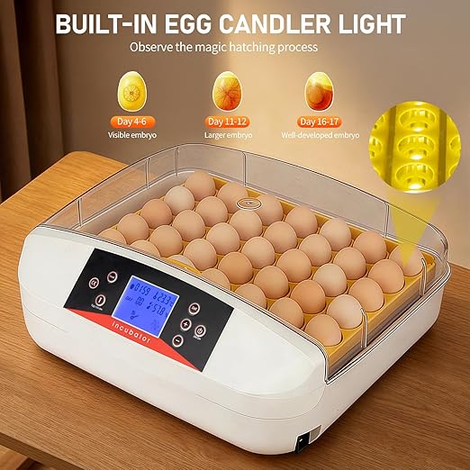 Winado Incubators for Hatching Eggs, 41 Egg Incubator - Image 2