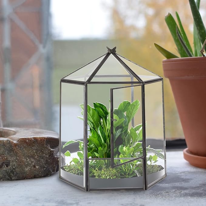 ELEGANTLIFE Glass Geometric Plant Terrarium, Succulent & Air Planter - Image 4