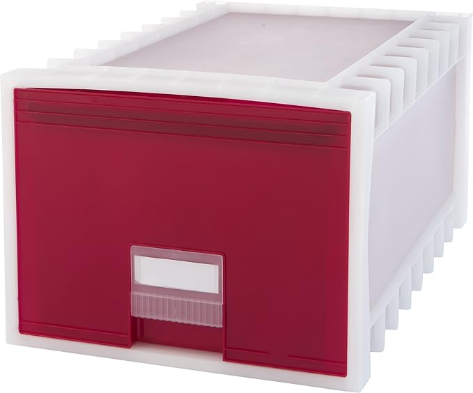 Storex 24-Inch Archive Storage Box by Storex