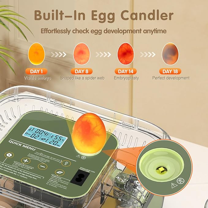 12 Egg Incubator with Automatic Turning, Temperature and Humidity Control - Image 5