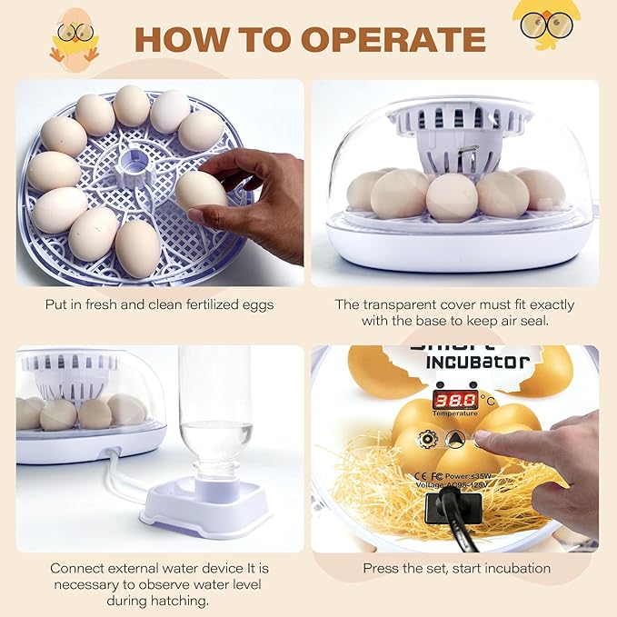 12 Egg Incubators for Hatching Eggs | - Image 7