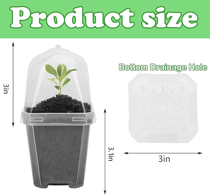 EBaokuup 10PCS Clear Plant Nursery Pots - Image 2