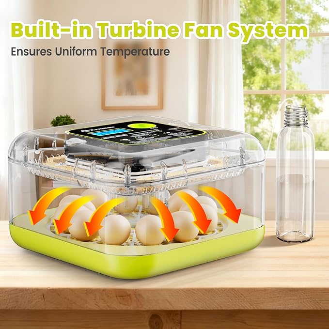 Egg Incubators for Hatching Eggs, 12 Egg Incubator - Image 3