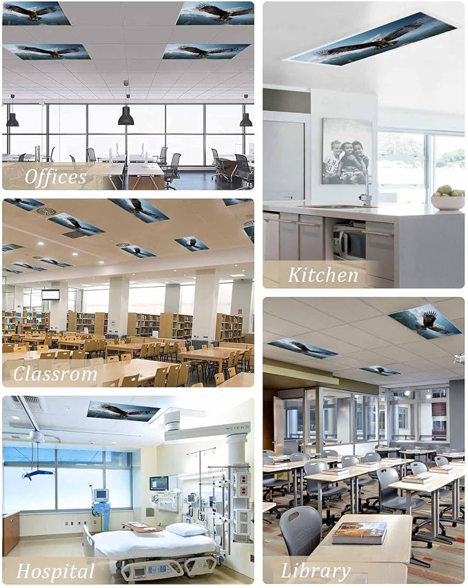 3 Pcs Fluorescent Light Covers for Ceiling Lights, Bald Eagle Soaring Above - Image 5