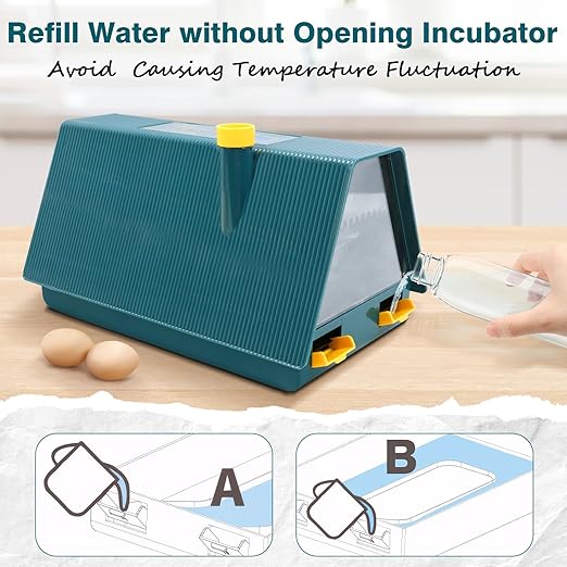 Incubator for Hatching Chicks, 10 Eggs Incubators - Image 5