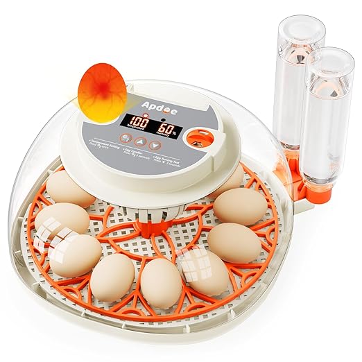 Egg Incubator with Temperature and Humidity Control, Automatic Egg Turning by APDOE