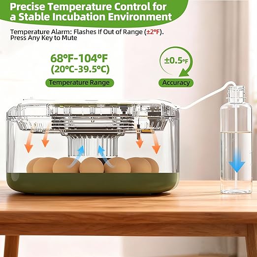 12 Egg Incubator for Hatching Eggs - Image 3