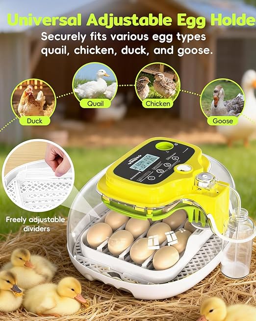 Incubators for Hatching Eggs, 2026 Upgraded 16 Eggs Incubator - Image 6