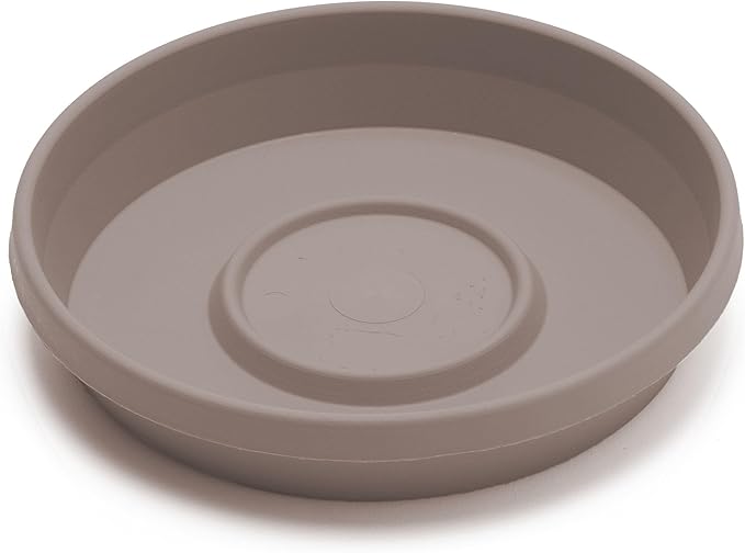 Bloem Terra Resin Saucer Tray: 8" Bottom Width - Image 4
