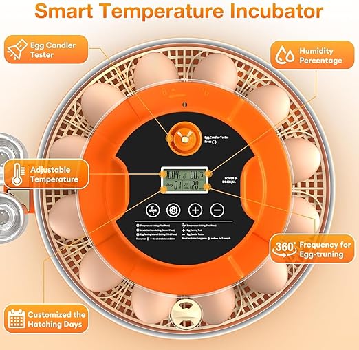 18 Egg Incubator with Automatic Egg Turning and Humidity Control, Eggs - Image 7