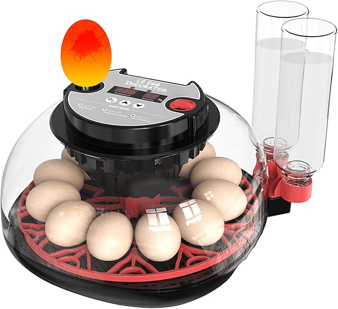 12 Egg Incubator with Temperature Control, Humidity Display, Automatic Egg by Khsp5d