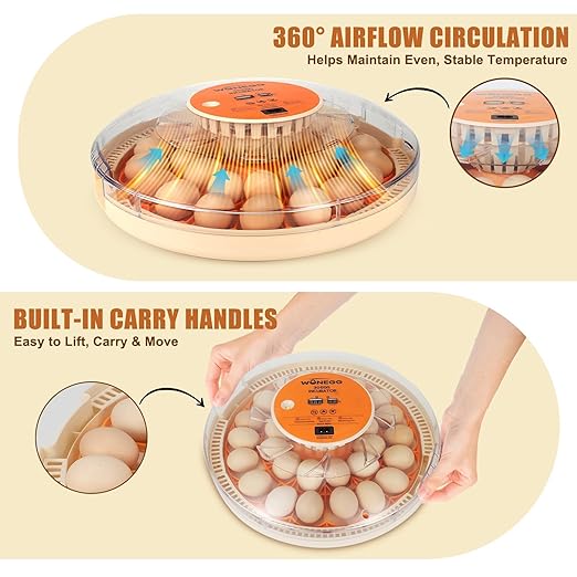 2nd Gen 30 Egg Incubator, Wide-Range Humidity - Image 5