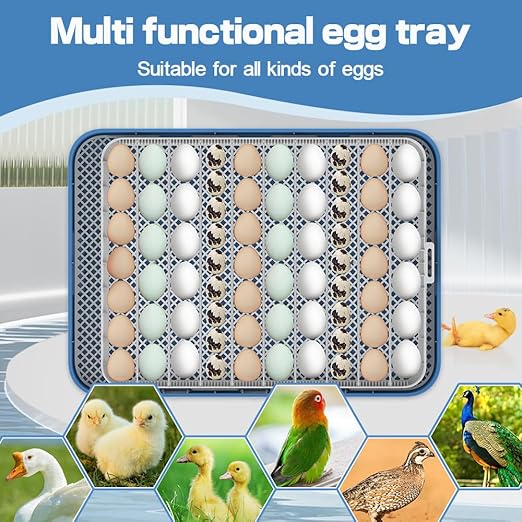 HOWOOlUA 70 Egg Incubator for Hatching Eggs withAuto Turn, Temp & Humidity - Image 6