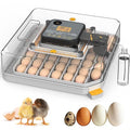 Incubators for Hatching Eggs, 48 Egg Incubator by Unknown
