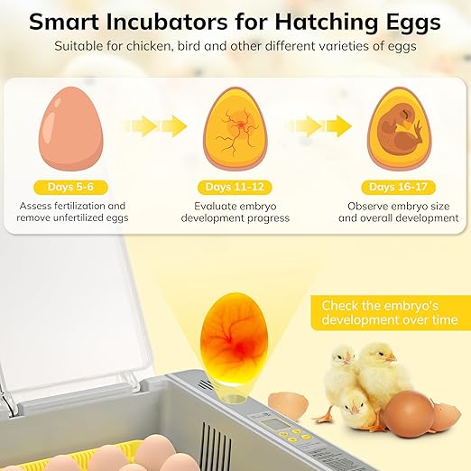36-60 Egg Incubator with Automatic Egg Turning and Humidity Control, Chicken - Image 3