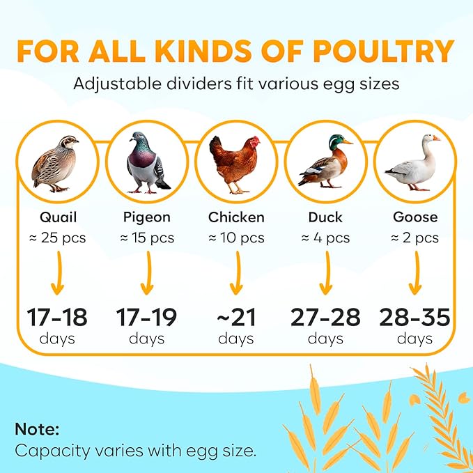 18 Egg Incubator with Automatic Egg Turning and Humidity Control – Egg - Image 6