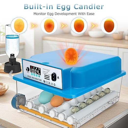 Automatic Egg Incubator 16 Egg Incubators - Image 5