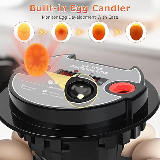 12 Egg Incubators for Hatching Eggs Automatic Egg Incubator - Image 6