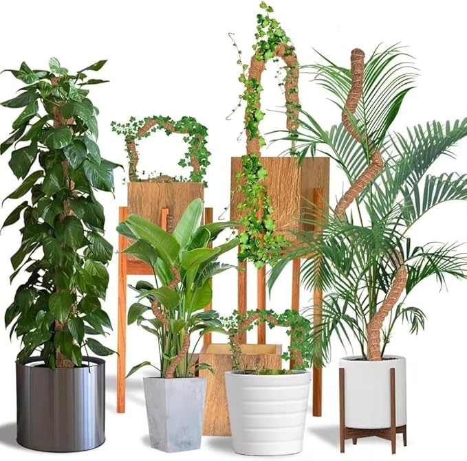 Moss Pole Monstera Plant Support – 2 Pack 28” Bendable Moss Pole Monstera Plant - Image 8