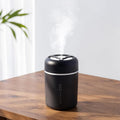Portable Mini Humidifier, 300ml USB Cool Mist Small Humidifier by Riecin