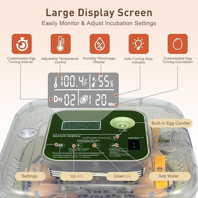 2026 New Auto 12-Egg Incubator for Beginners, Automated Incubation, - Image 2