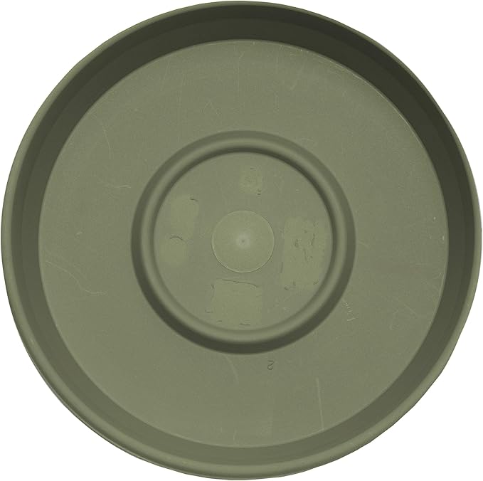 Bloem Terra Resin Saucer Tray: 11.25" Bottom Width - Image 4