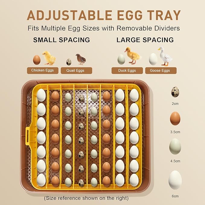 Automatic 56-Egg Incubator for Breeders, Sensor-Based Precise Humidity+Temp - Image 6