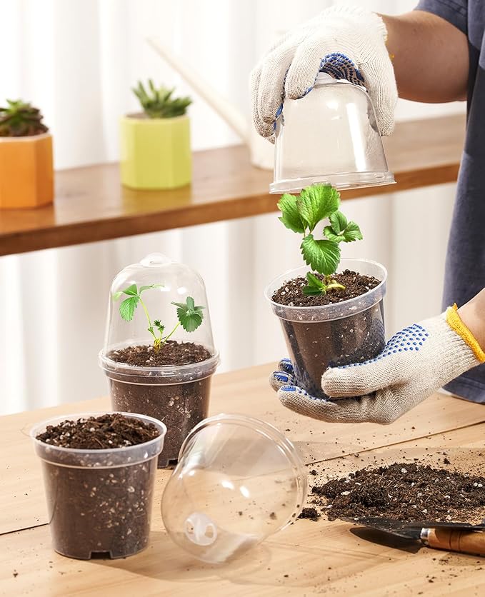 homenote Clear Nursery Pots for Plants, 3 Inch Plant Pot for Planting - Image 3