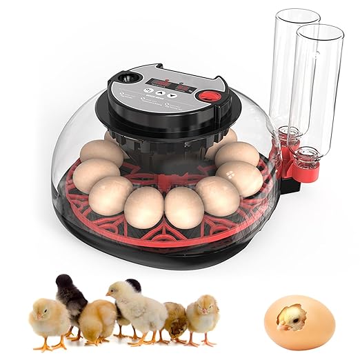 Incubators for Hatching Eggs, 12 Egg Incubator by Unknown