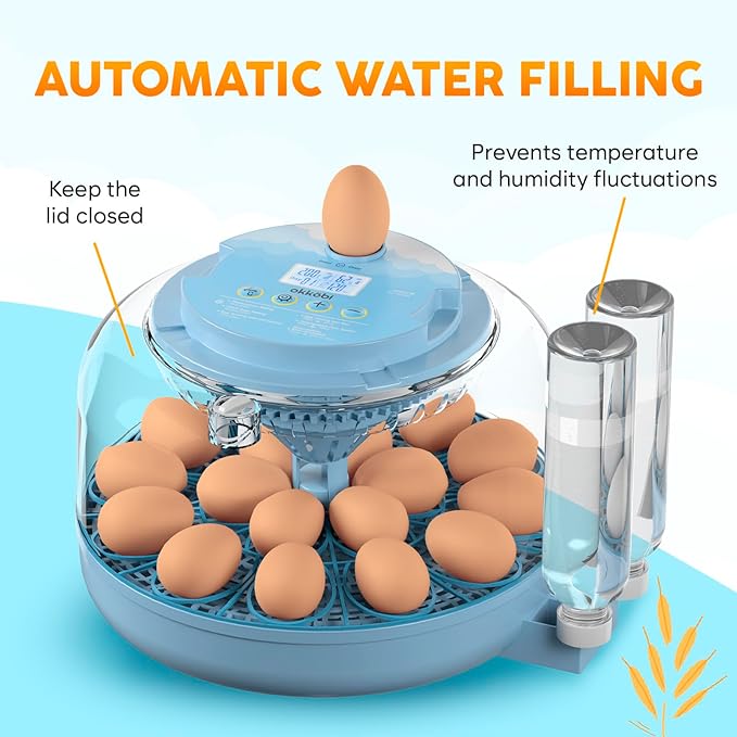 18 Egg Incubator with Automatic Egg Turning and Humidity Control – Egg - Image 3