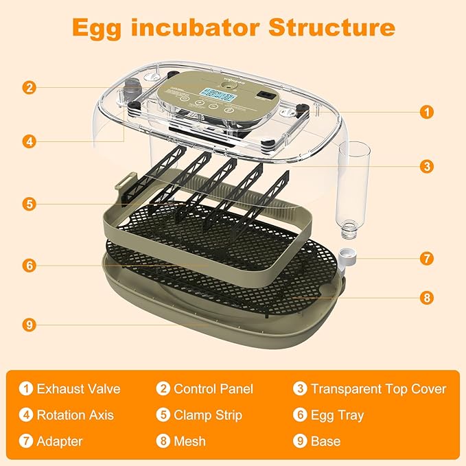 24 Egg Incubators for Hatching, Automatic Egg Turning and Temperature Control - Image 8