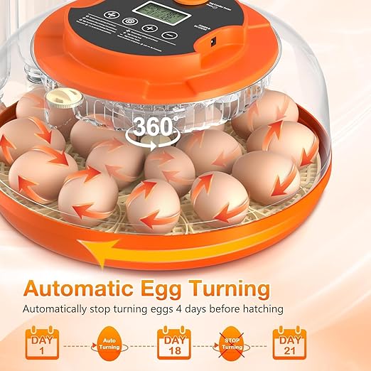 18 Egg Incubator with Automatic Egg Turning and Humidity Control, Eggs - Image 3